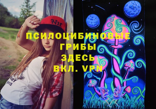 герыч Алексин