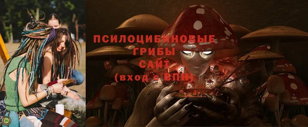 соль курить ск Алзамай